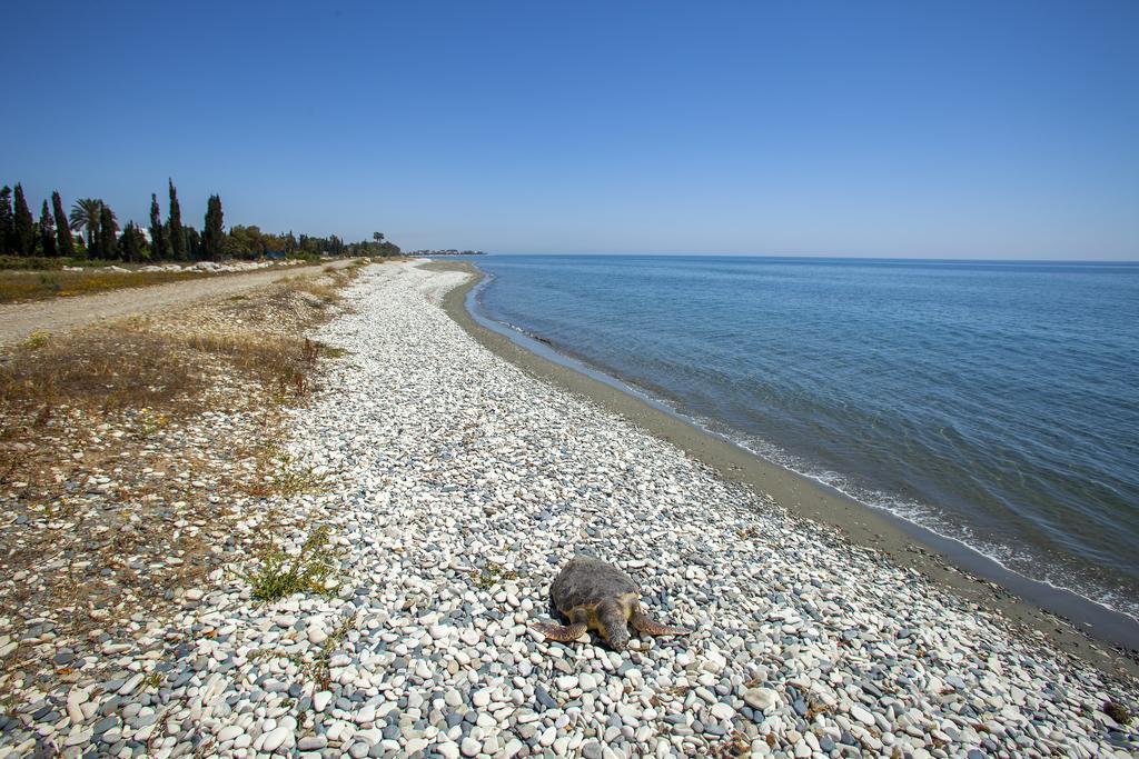 Larnaca Villa Marina Meneou Esterno foto